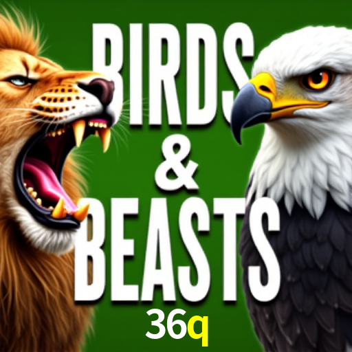 36q,36q.com